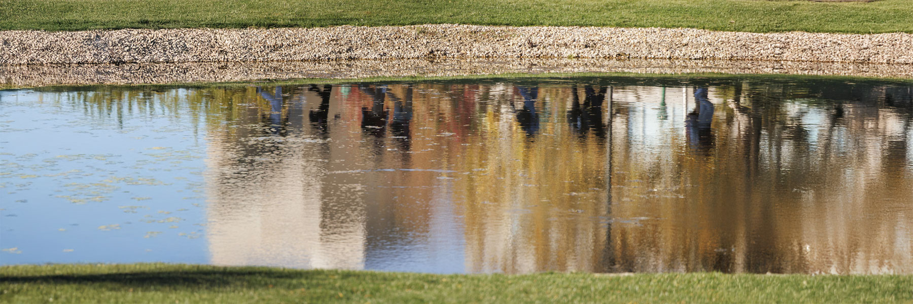 Campus photo of stream and grass