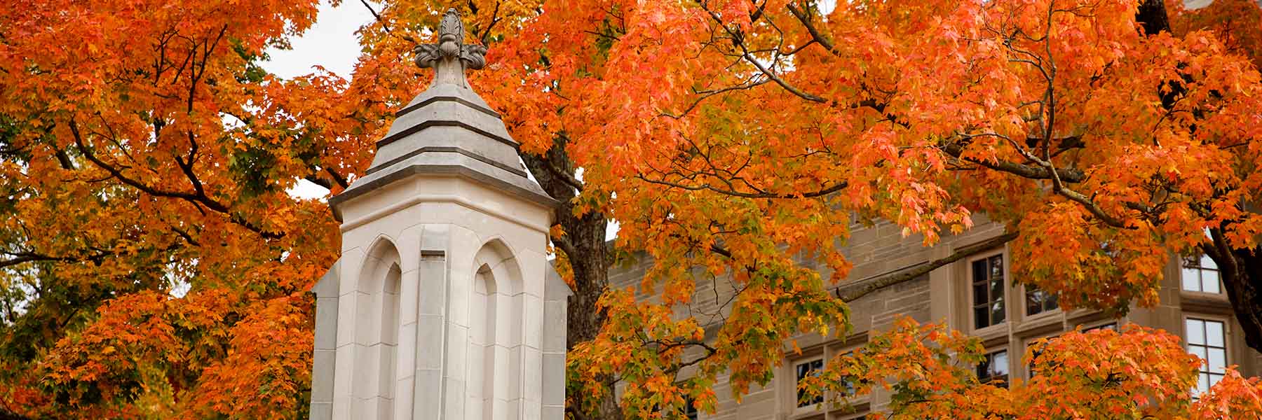 The Sample Gates are pictured on a fall day at Indiana University Bloomington.